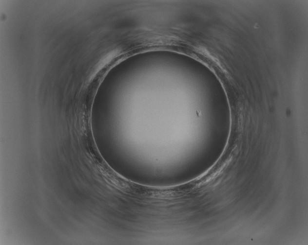 X0000071761211200606301122