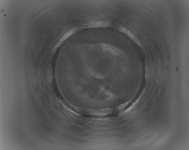 X0000071761213200606301122