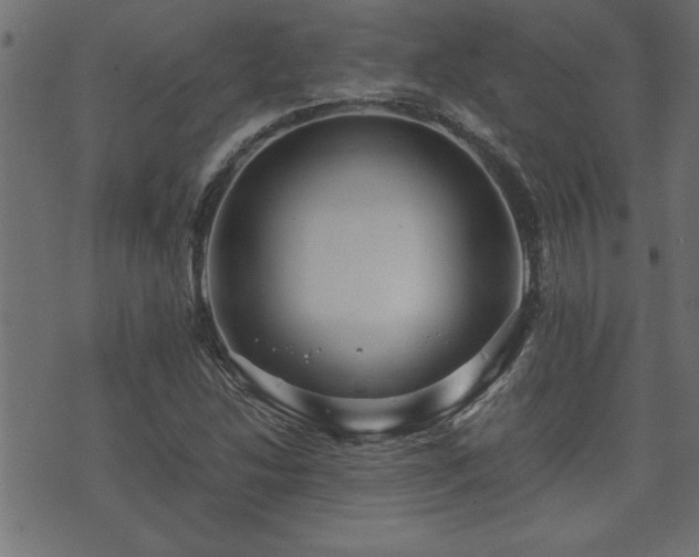 X0000071761214200606301122