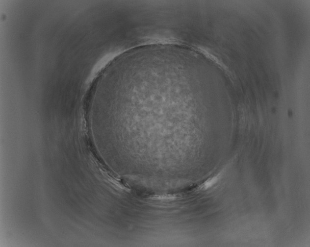 X0000071761215200606301122