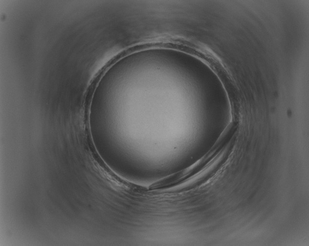 X0000071761216200606301122