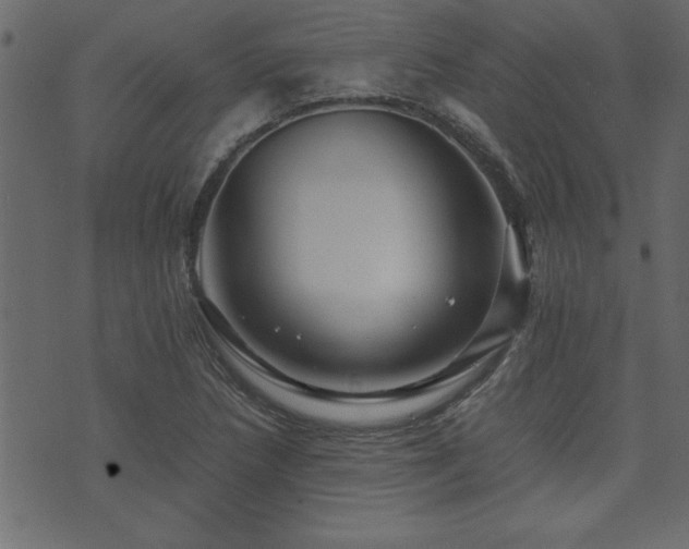 X0000071761218200606301122