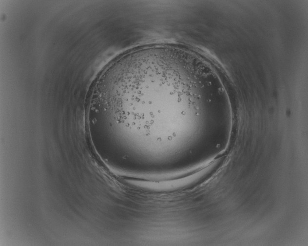 X0000071761220200606301122