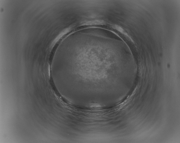 X0000071761221200606301122