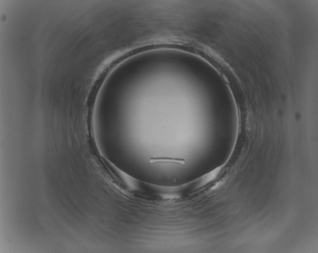 X0000071761222200606301122