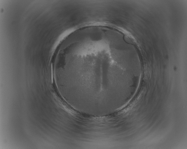 X0000071761223200606301122