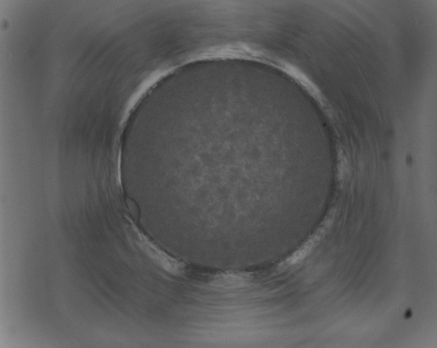 X0000071761224200606301122