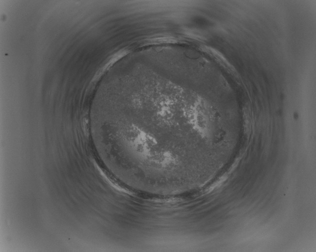 X0000071761225200606301122