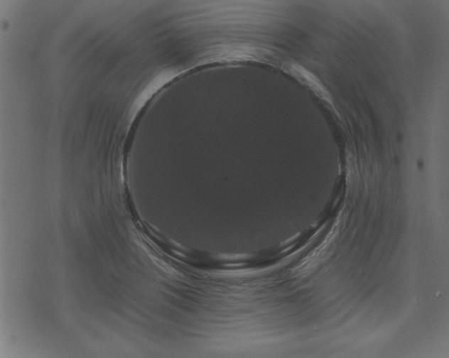 X0000071761226200606301122