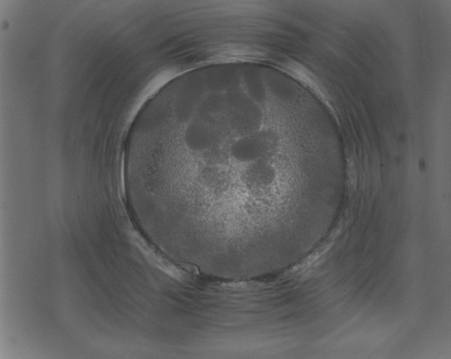 X0000071761227200606301122