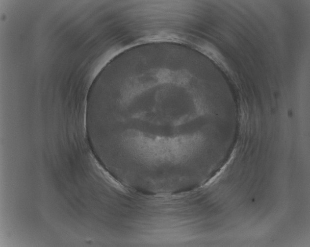 X0000071761228200606301122