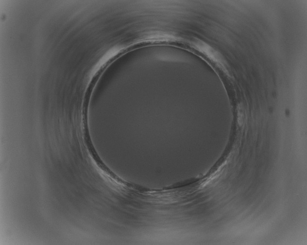 X0000071761229200606301122