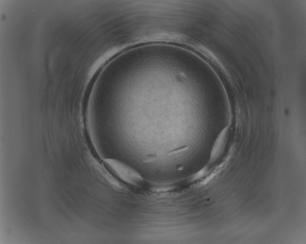 X0000071761230200606301122