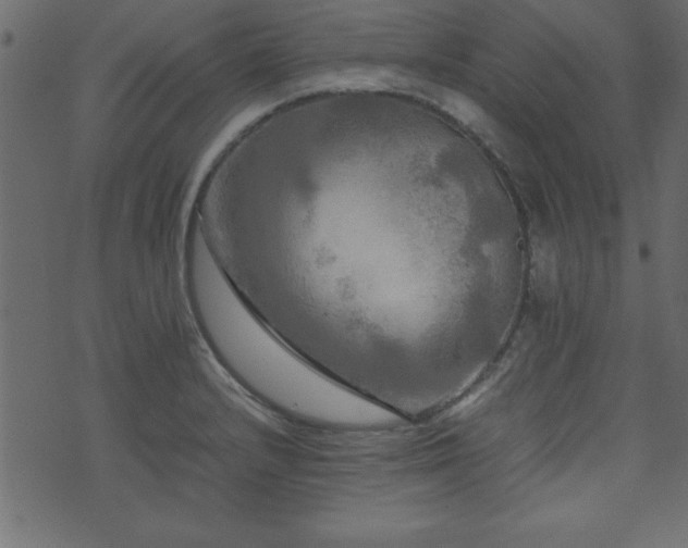 X0000071761232200606301122