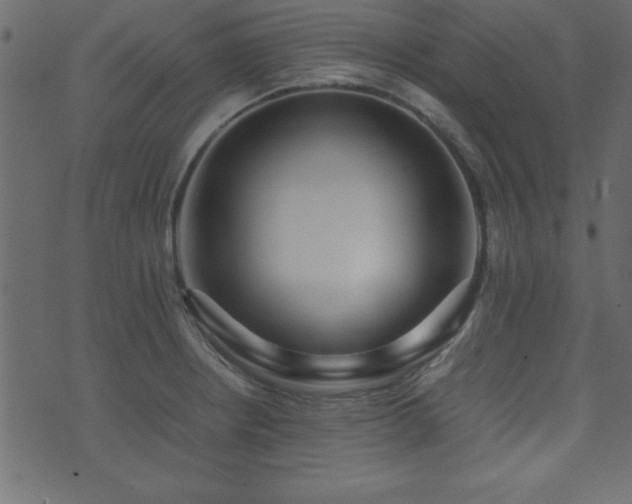 X0000071761234200606301122