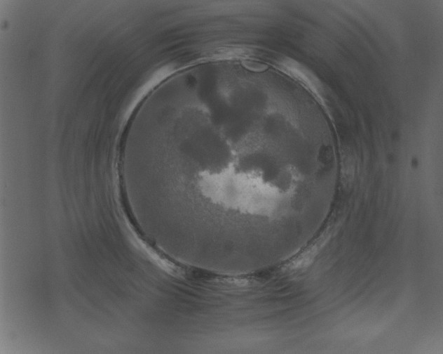 X0000071761235200606301122