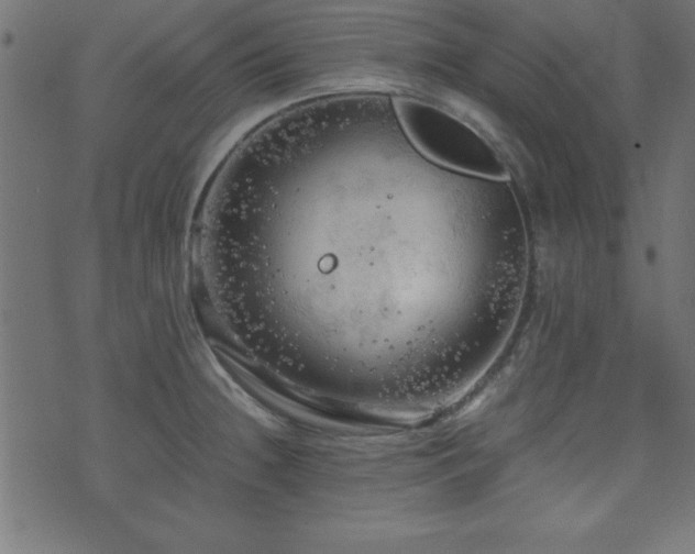 X0000071761236200606301122