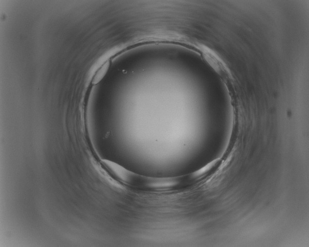 X0000071761238200606301122