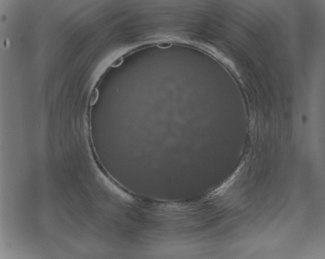 X0000071761239200606301122