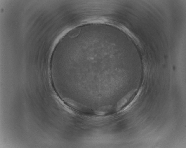 X0000071761240200606301122