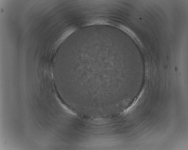 X0000071761241200606301122