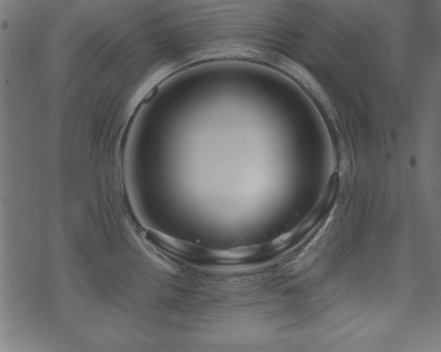 X0000071761242200606301122