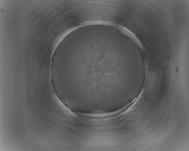 X0000071761244200606301122