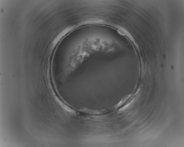 X0000071761245200606301122