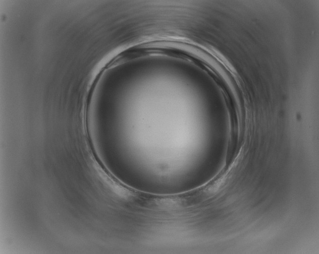 X0000071761246200606301122