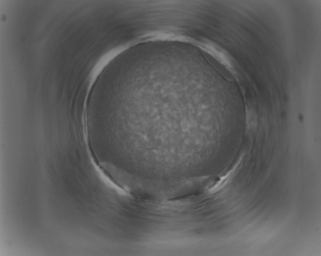 X0000071761247200606301122