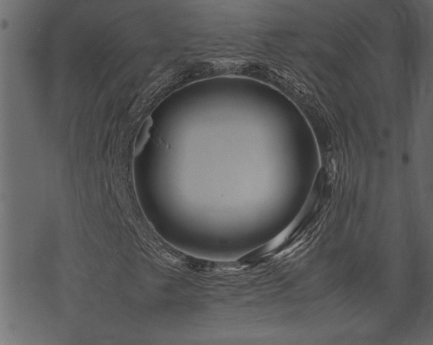 X0000071761249200606301122