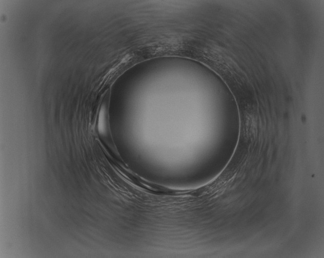 X0000071761250200606301122