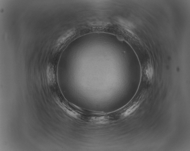 X0000071761252200606301121