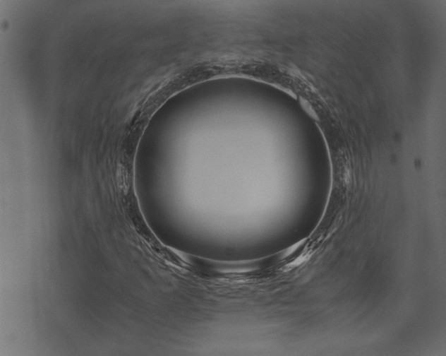 X0000071761253200606301121