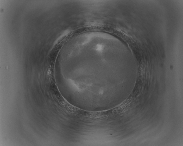 X0000071761254200606301121