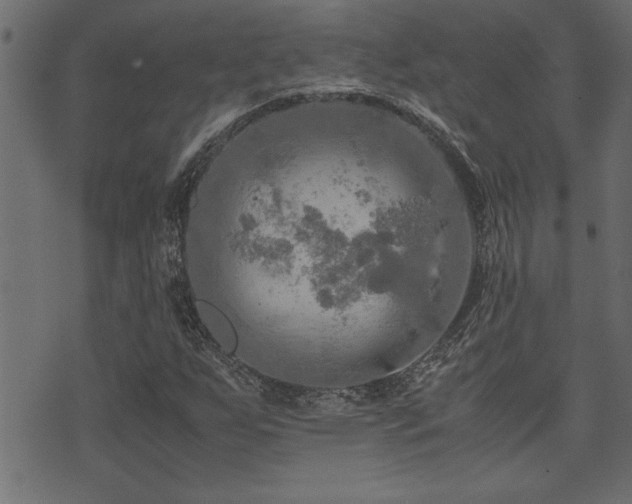 X0000071761255200606301121