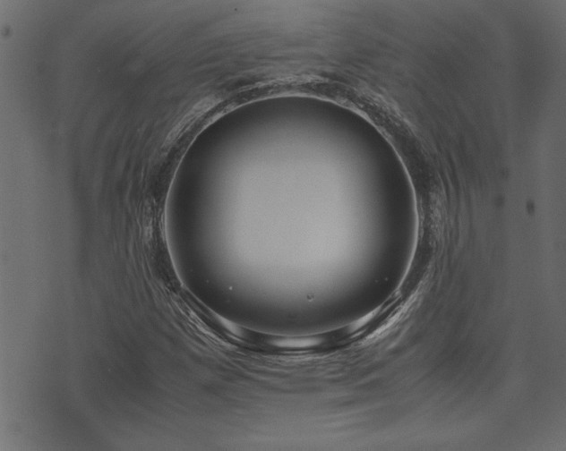 X0000071761257200606301121