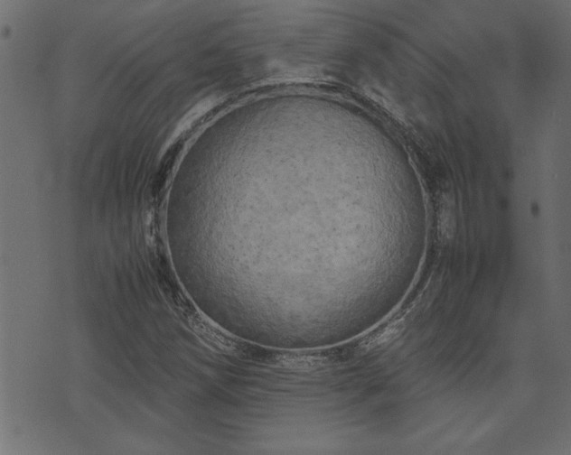 X0000071761258200606301121