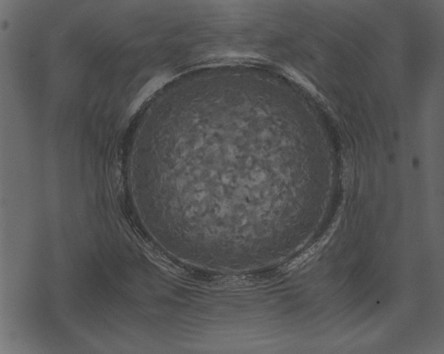 X0000071761259200606301121