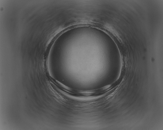 X0000071761260200606301121