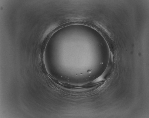 X0000071761261200606301121