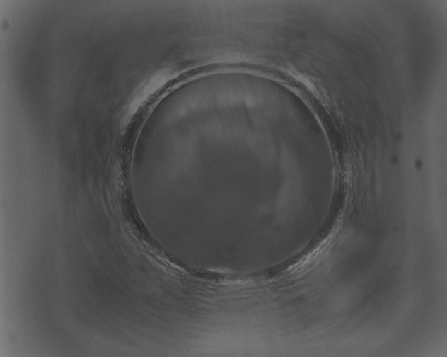 X0000071761263200606301121