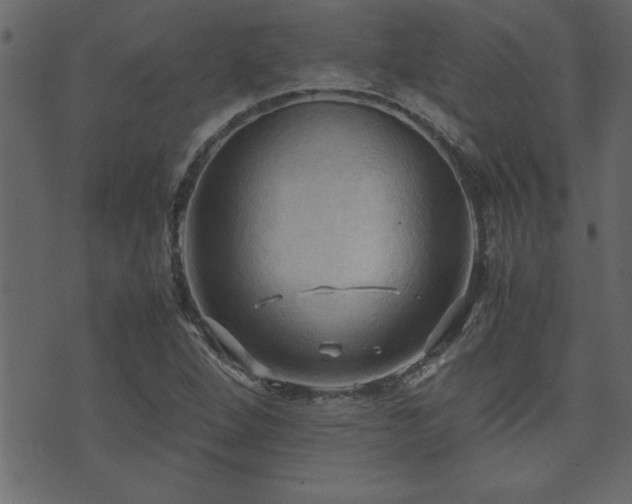 X0000071761264200606301121