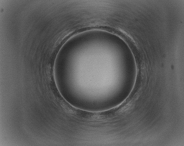 X0000071761265200606301121