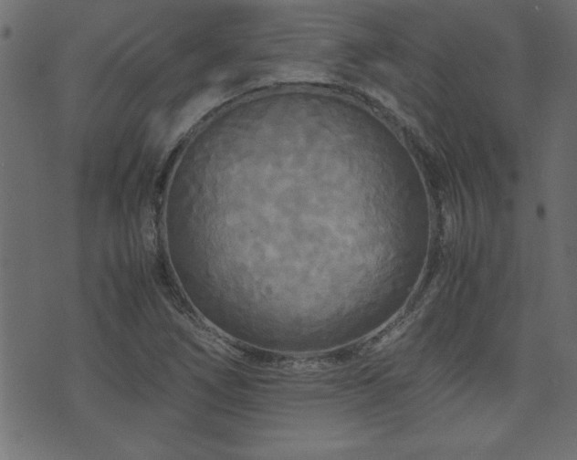 X0000071761266200606301121