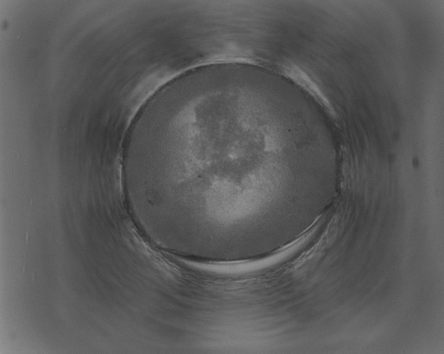 X0000071761268200606301121