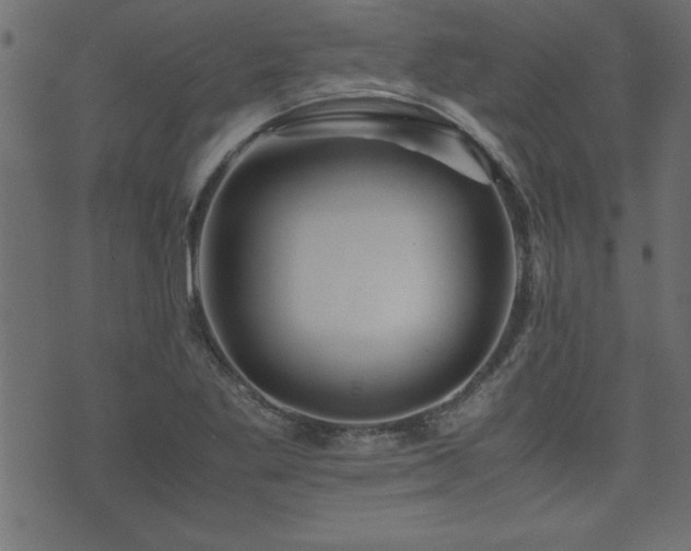 X0000071761269200606301121