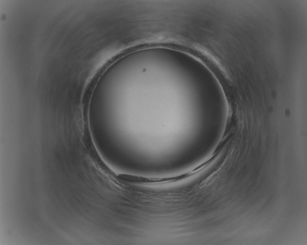 X0000071761270200606301121