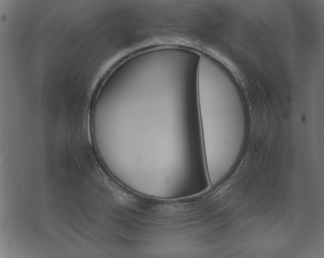 X0000071761272200606301121