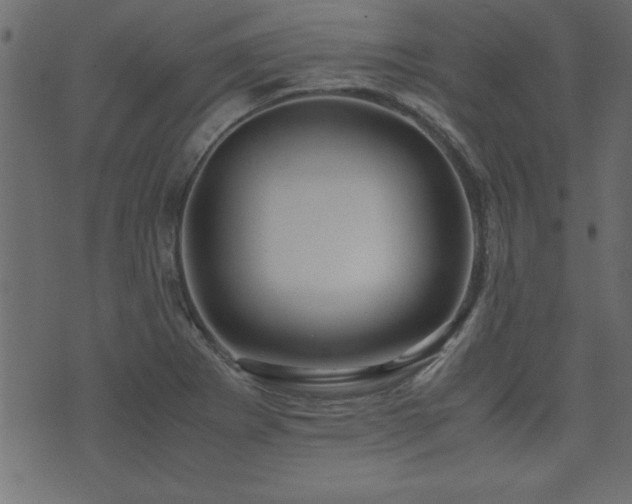 X0000071761273200606301121